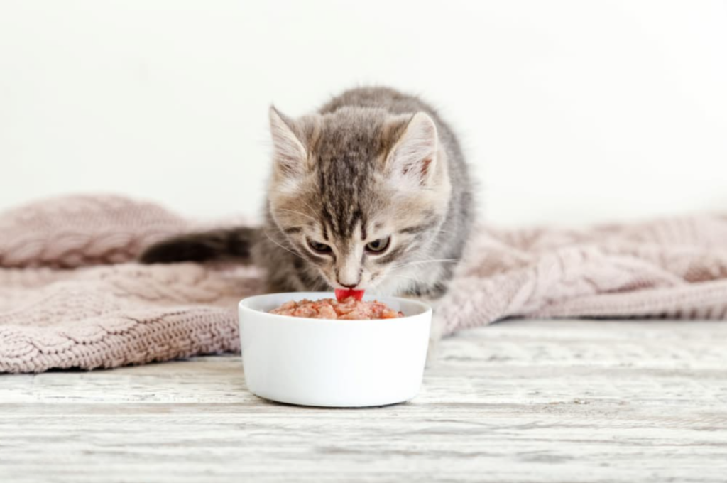 smalls cat food