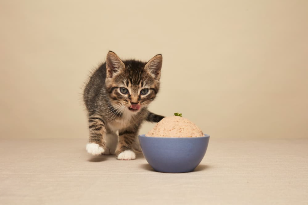 smalls cat food