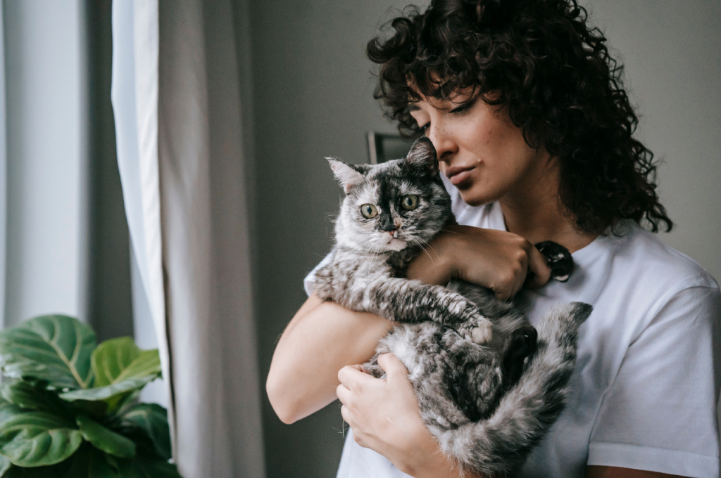 why do cats purr