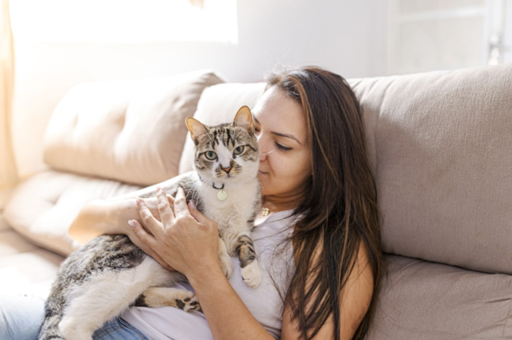 where can i adopt a cat