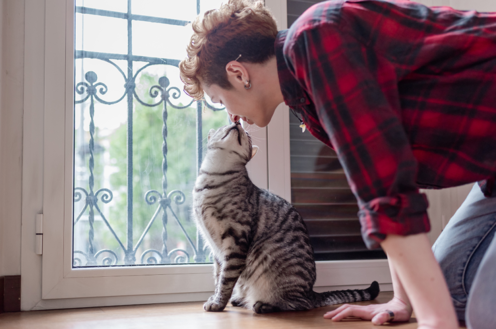 how to make a cat like you
