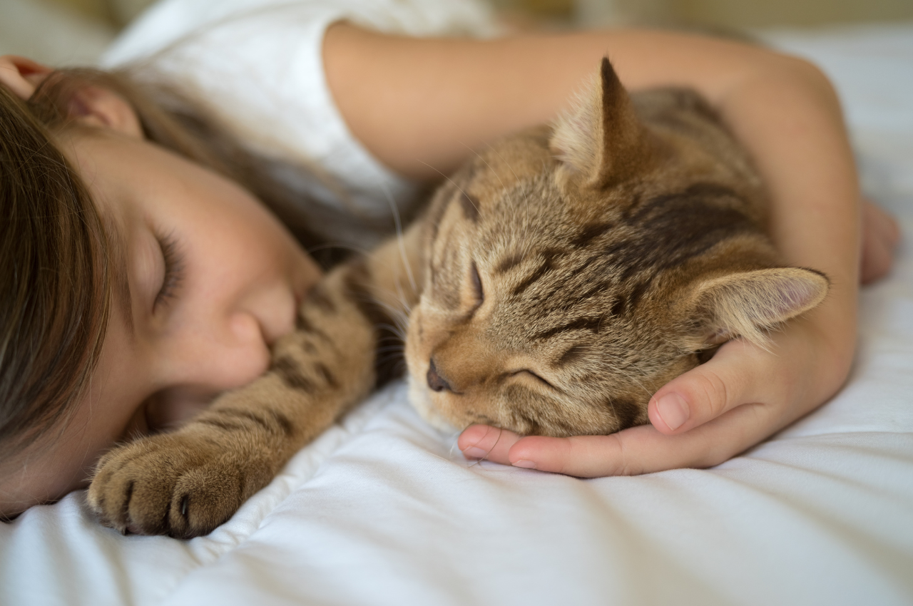 what does it mean when a cat sleeps by your head