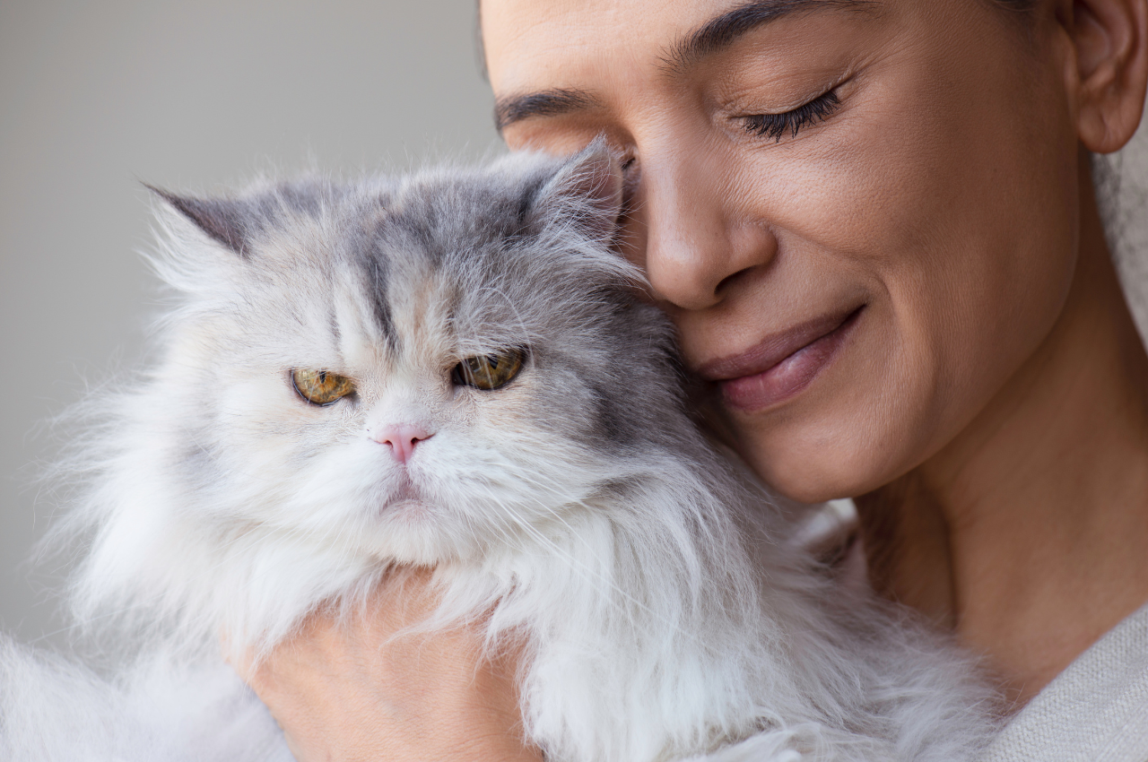 How do you tell if your cat loves you?