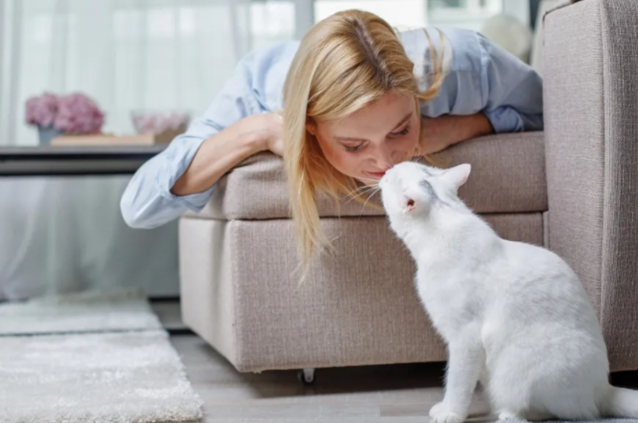 How to tell if a cat trusts you?