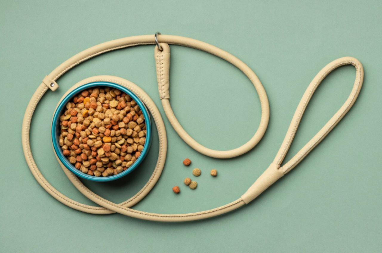 how to keep ants out of cat food