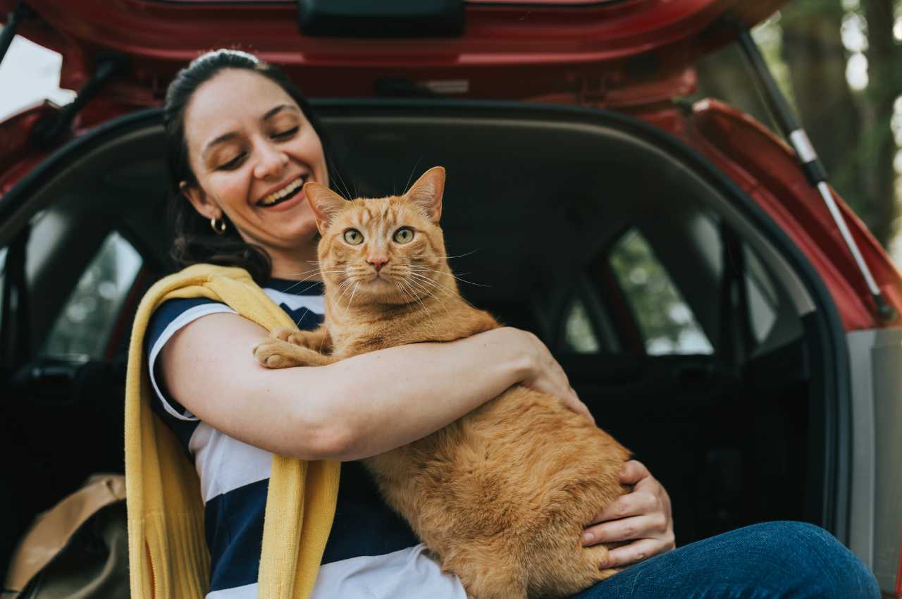 how to transport a cat without a carrier