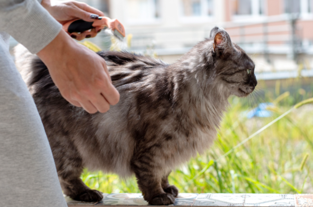 how to get mats out of cat fur