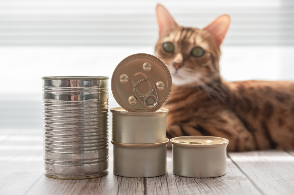 What can I add to my cat's food to make him eat?