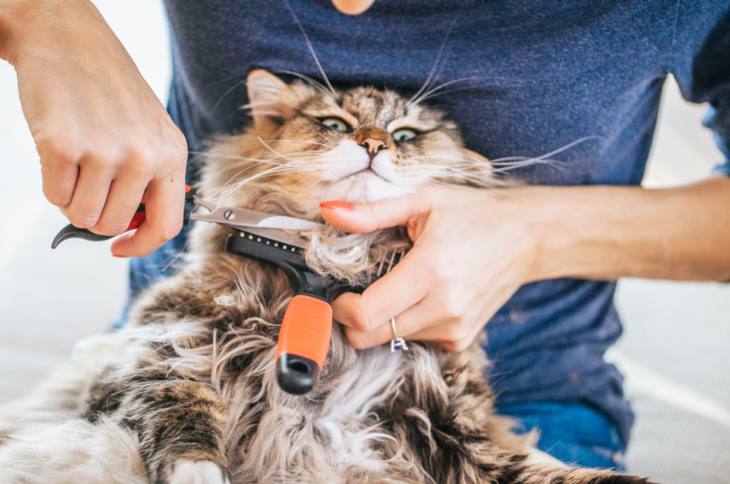 how to get mats out of cat fur