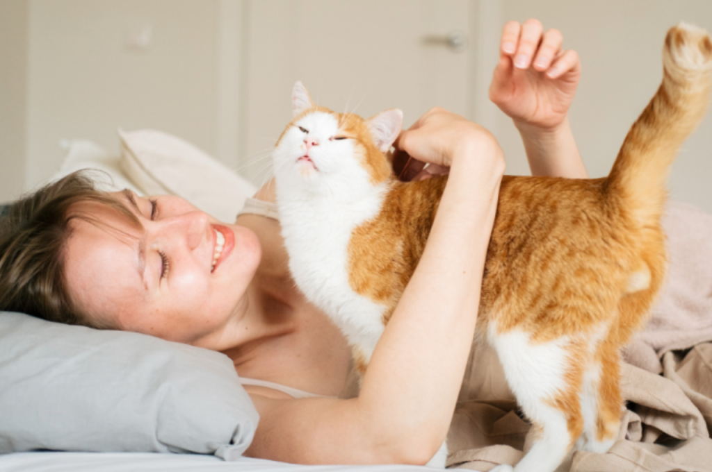 How to tell if a cat trusts you?