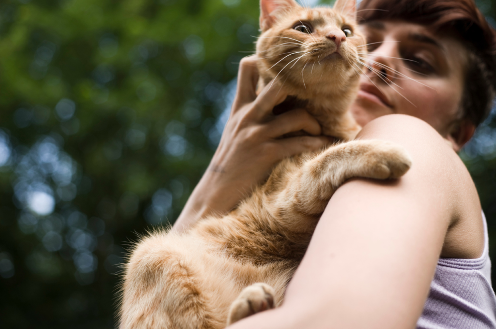 How do you tell if your cat is protective of you?