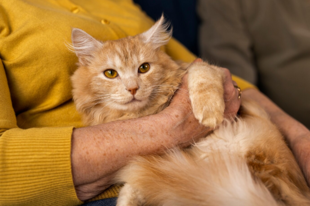 How do cats say goodbye?