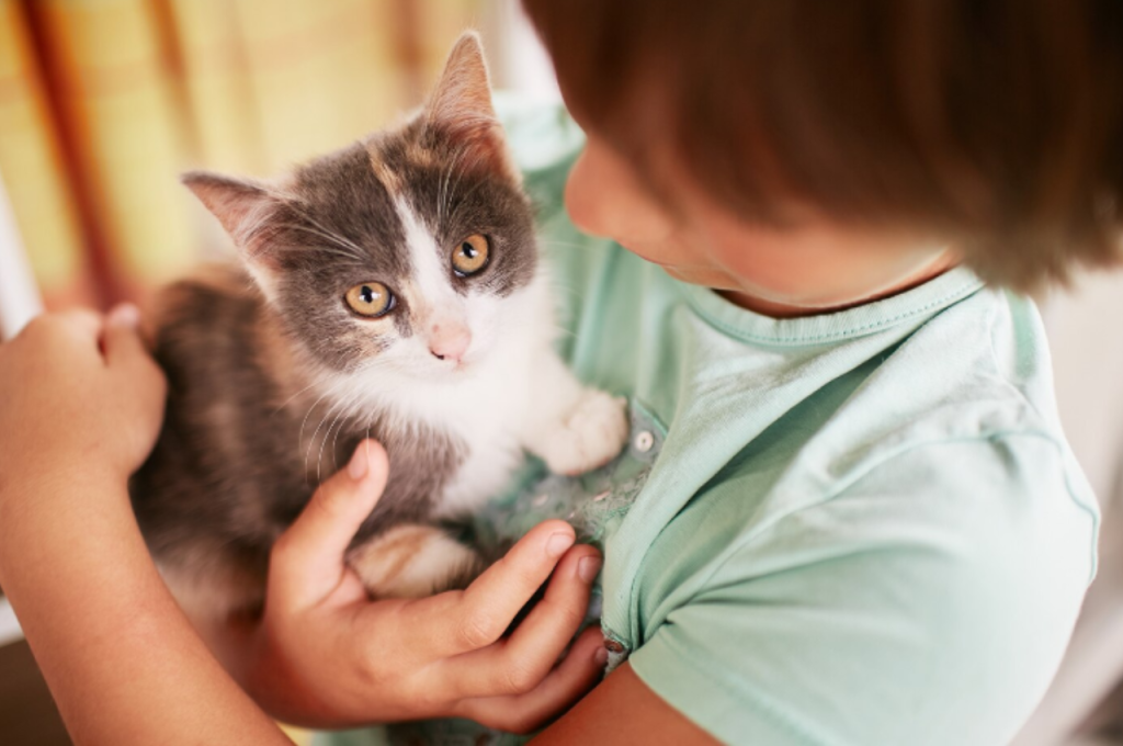 cat habits and what they mean