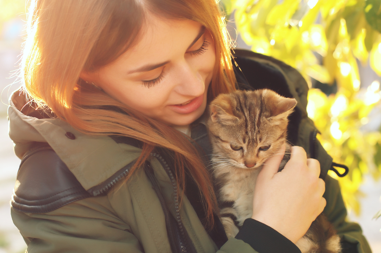 How to make your house more cat friendly?