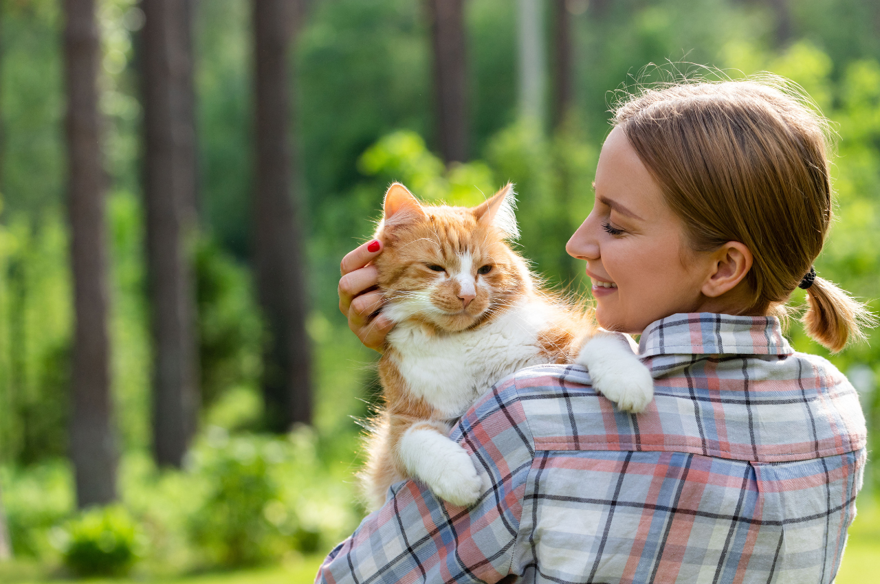 How do you create a safe space for cats?