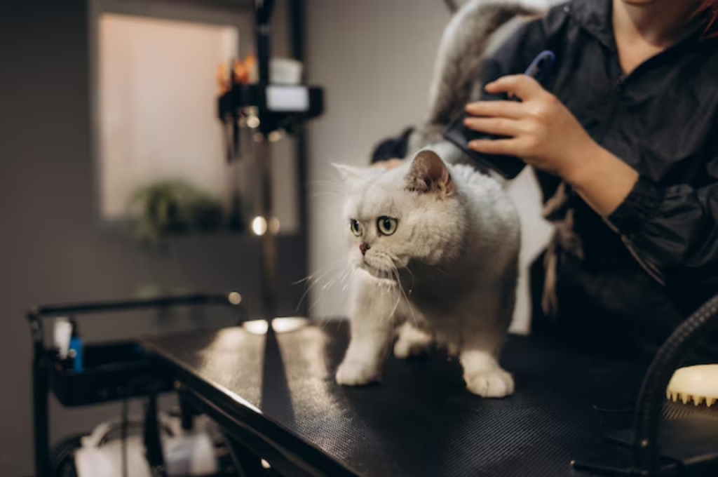 Cat grooming benefits