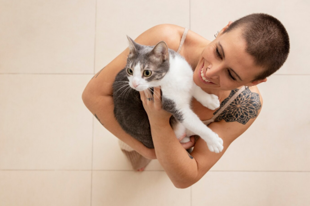 How do you groom a cat by yourself?