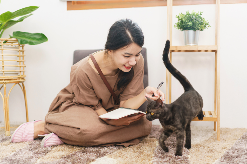 how to stop my cat from over grooming