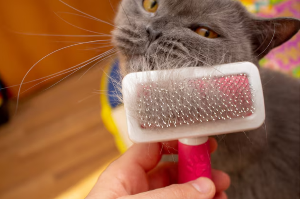 How to stop cat hair from getting everywhere?