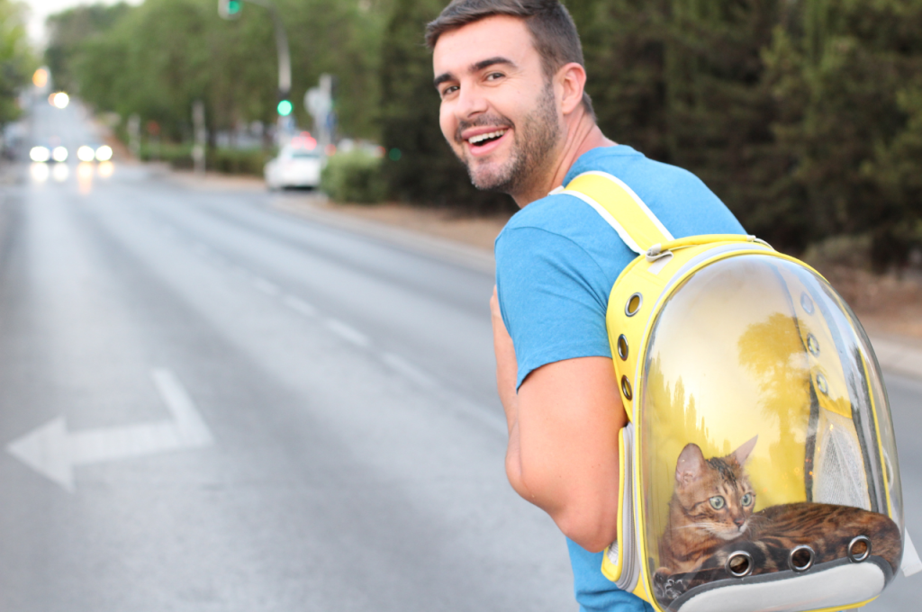 how to train your cat to travel with you
