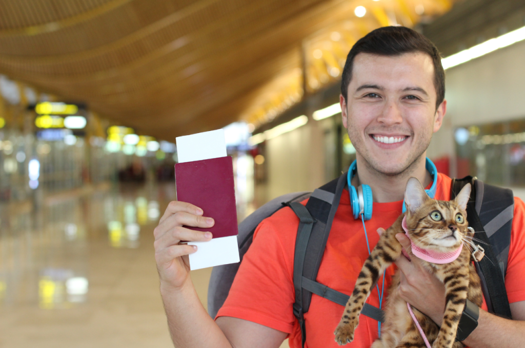 how to travel with an anxious cat