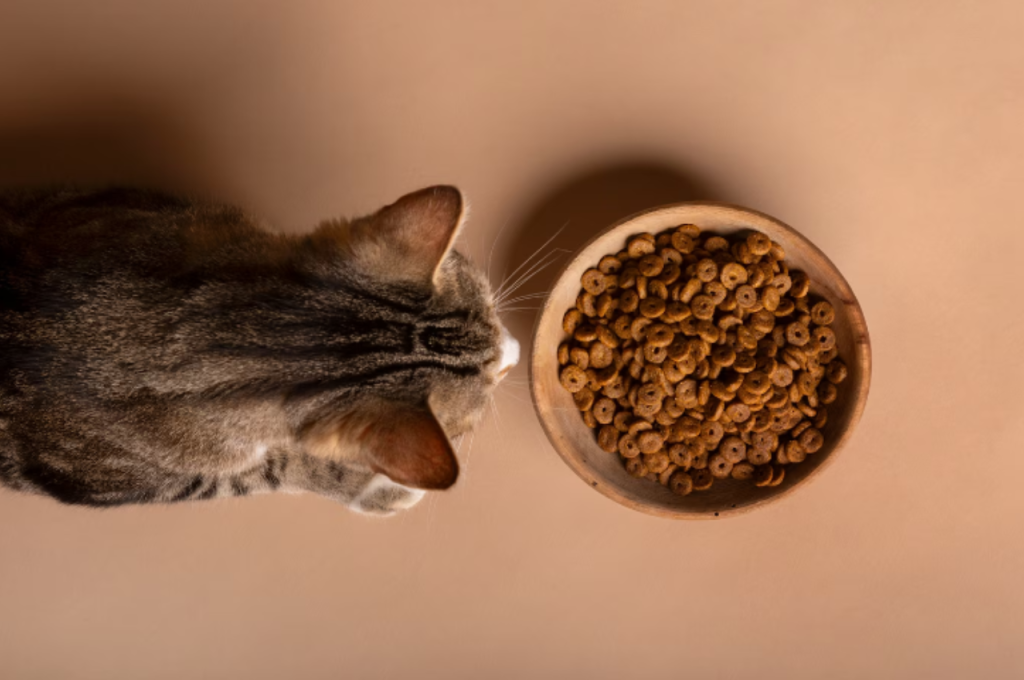 what is the ideal diet for cats