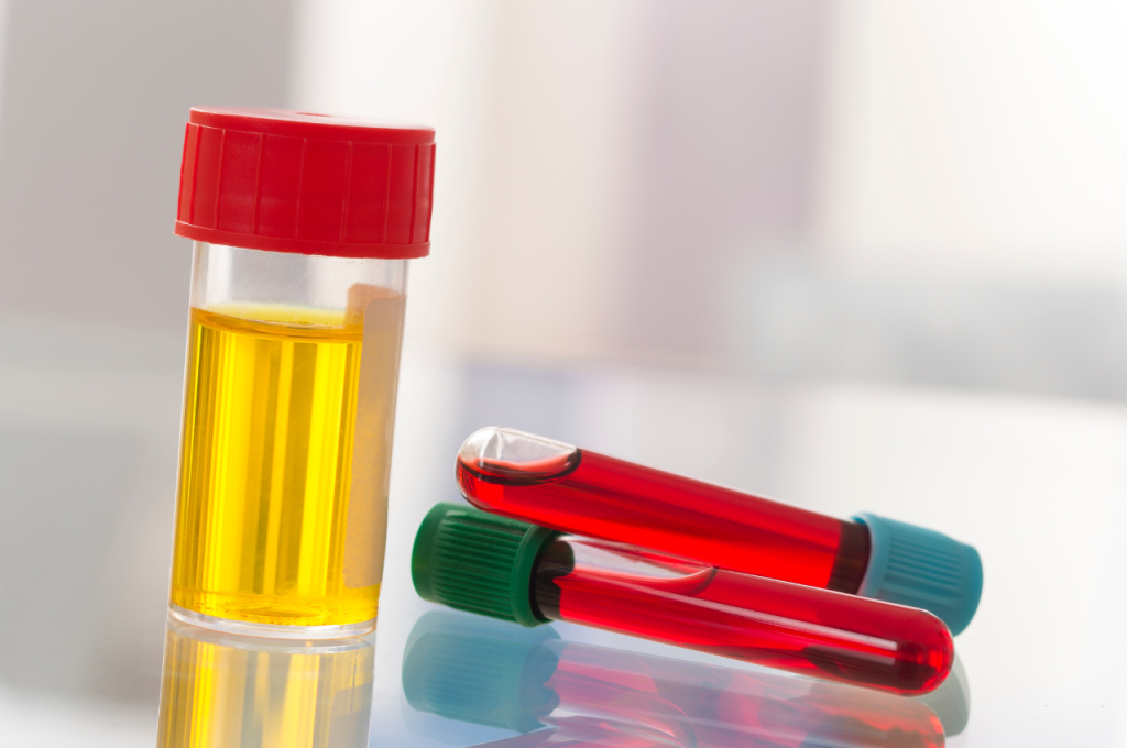 What is the most common cause of blood in cat urine?