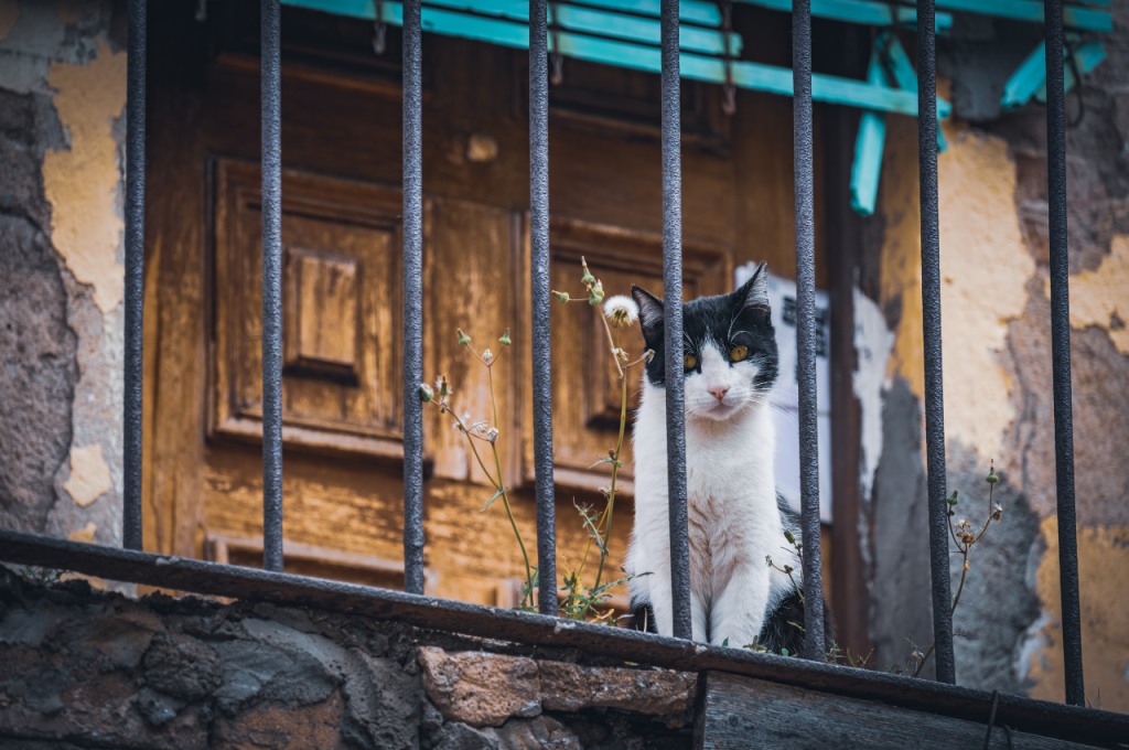 how to keep cats off balcony railing