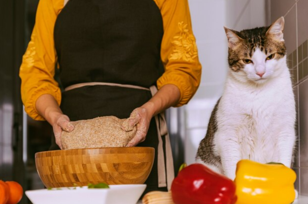 what is the ideal diet for cats