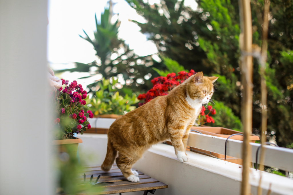 how to keep cats off balcony railing