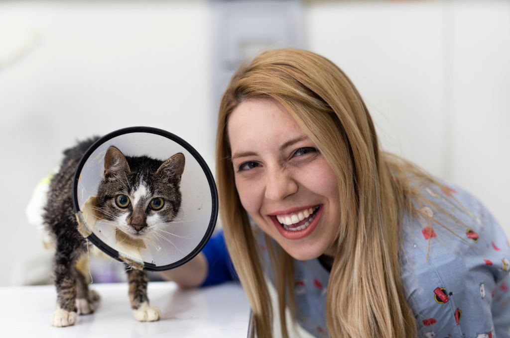home remedies for sick cats not eating