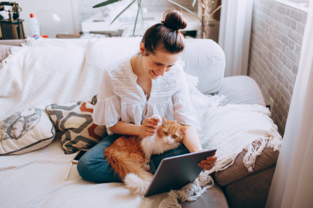 how to comfort cat in pain
